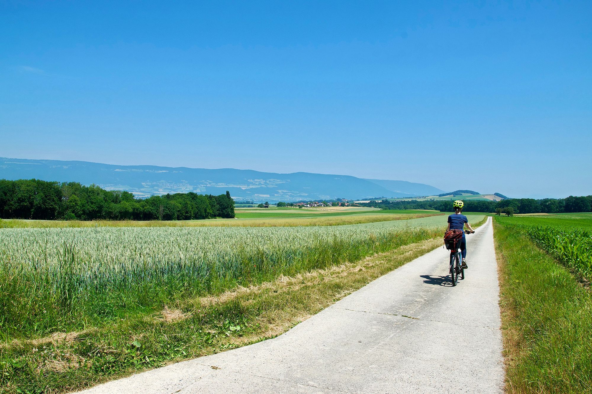 https://www.terrenature.ch/app/uploads/2025/07/16_DSC_1775.jpeg