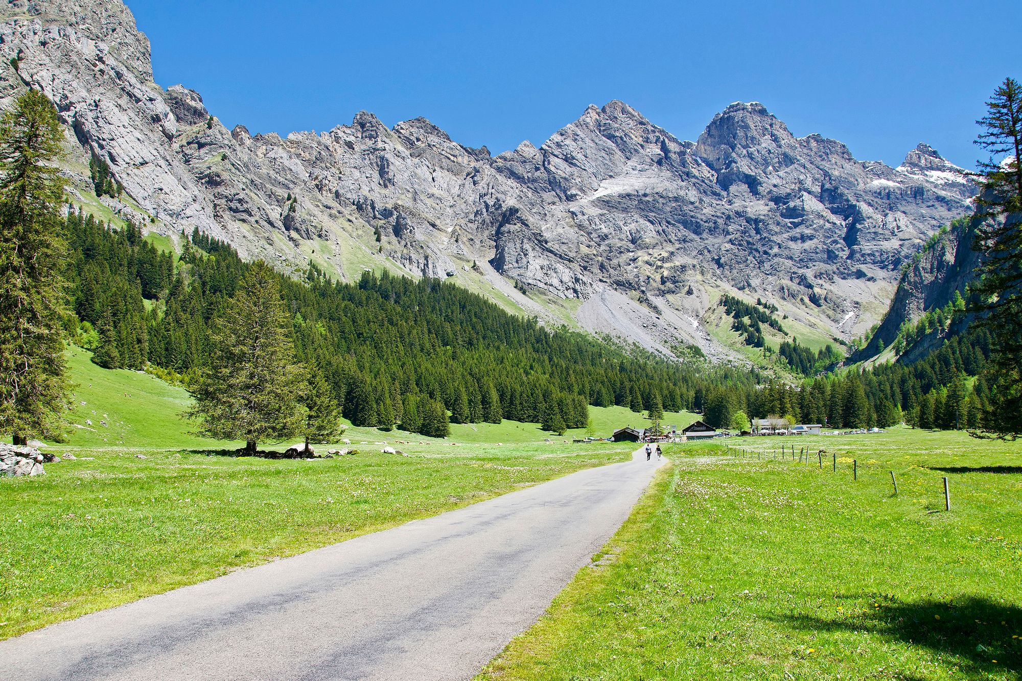 https://www.terrenature.ch/app/uploads/2025/07/17_DSC_0001.jpeg