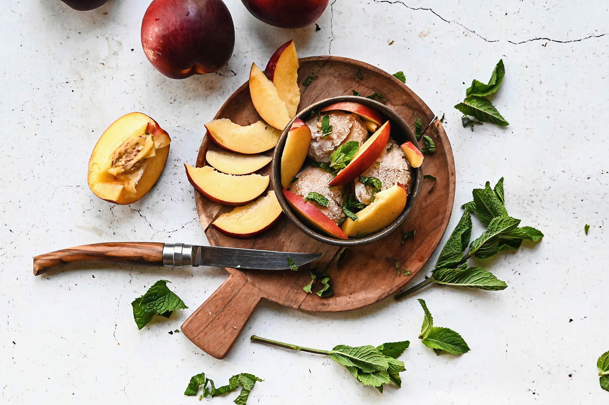 https://www.terrenature.ch/app/uploads/2025/07/17_Sorbet-maison-nectarine-menthe.jpeg