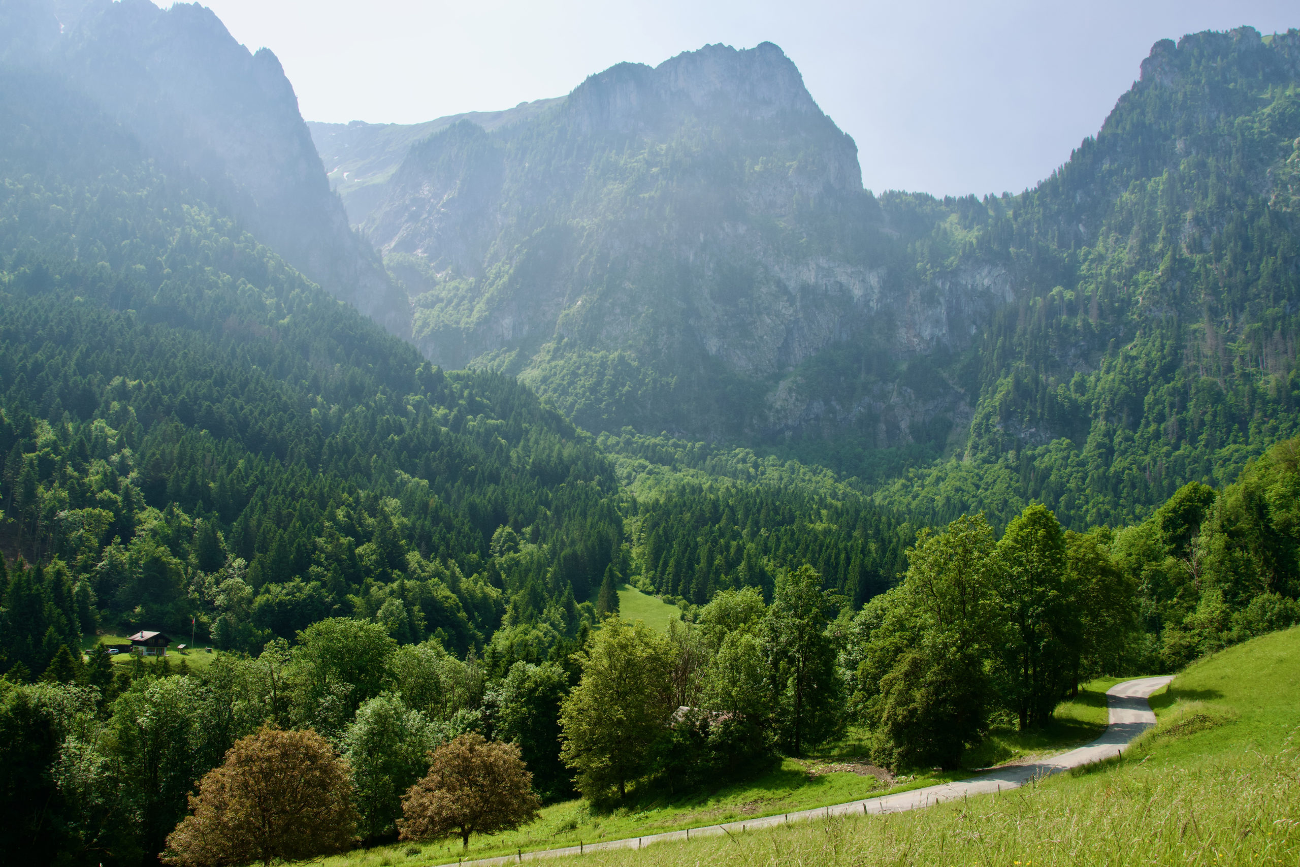 https://www.terrenature.ch/app/uploads/2025/07/19_DSC_0122-scaled.jpeg