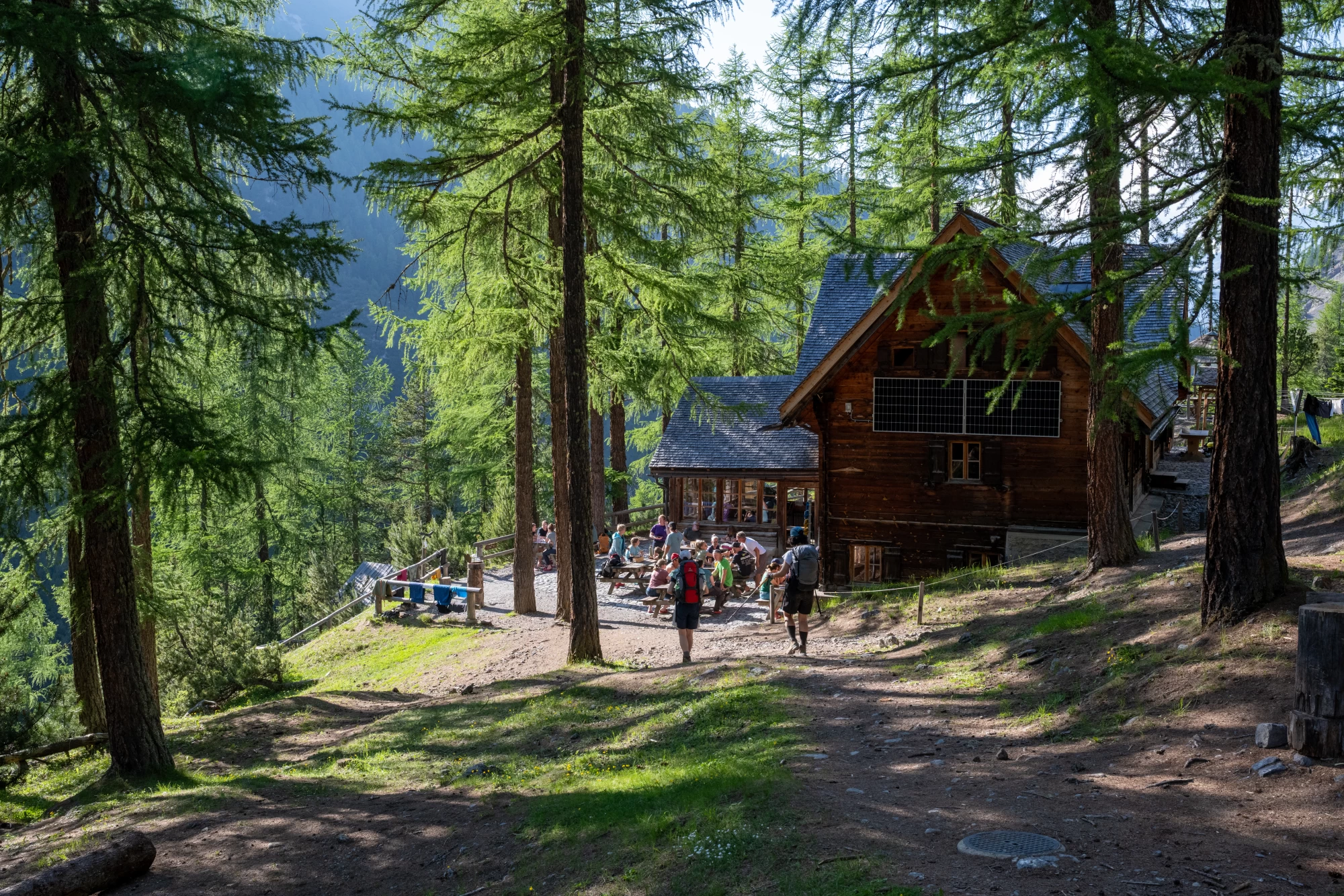https://www.terrenature.ch/app/uploads/2025/07/aW1hZ2VzL25vbWluaWVydGUtMjAxOS9wcm9qZWt0ZS0yMDI1L2NoYW1hbm5hLWNsdW96emEvMDBfY2x1b3p6YV8yODcyLmpwZWc.webp