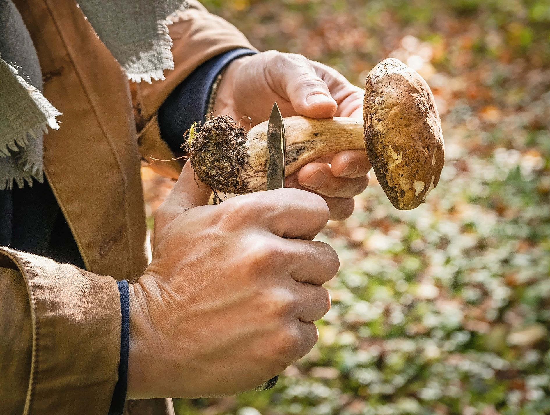 https://www.terrenature.ch/app/uploads/2025/08/05_AdobeStock_562065068.jpeg