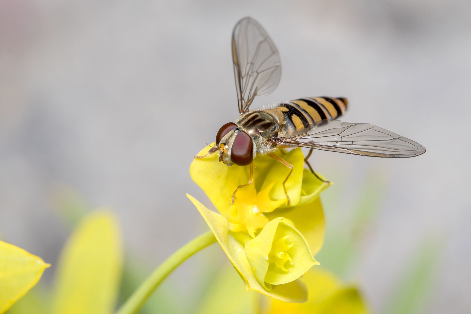 https://www.terrenature.ch/app/uploads/2025/08/09_AdobeStock_430950744.jpeg