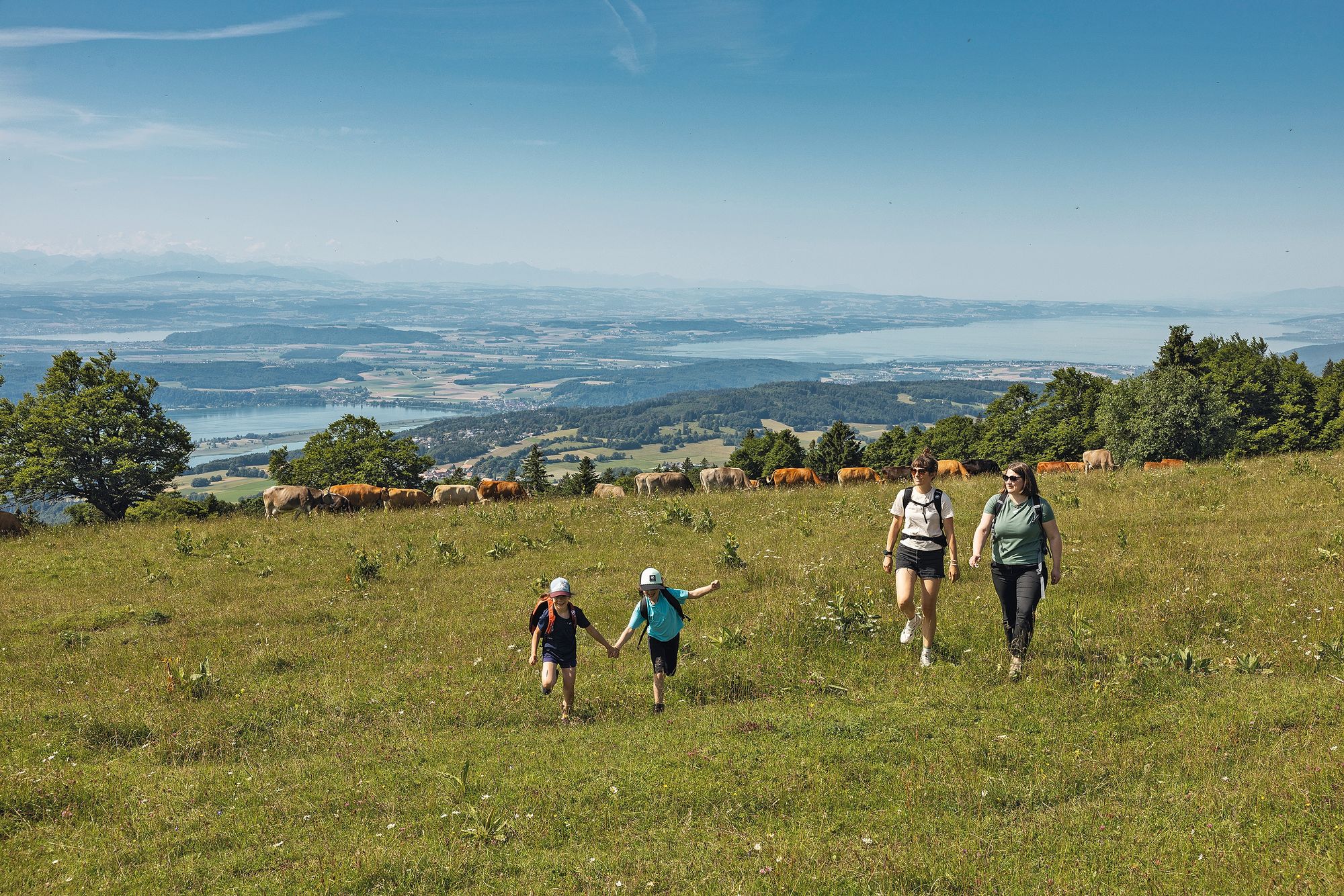 https://www.terrenature.ch/app/uploads/2025/08/16_ST-Berner-Jura-0011.jpeg