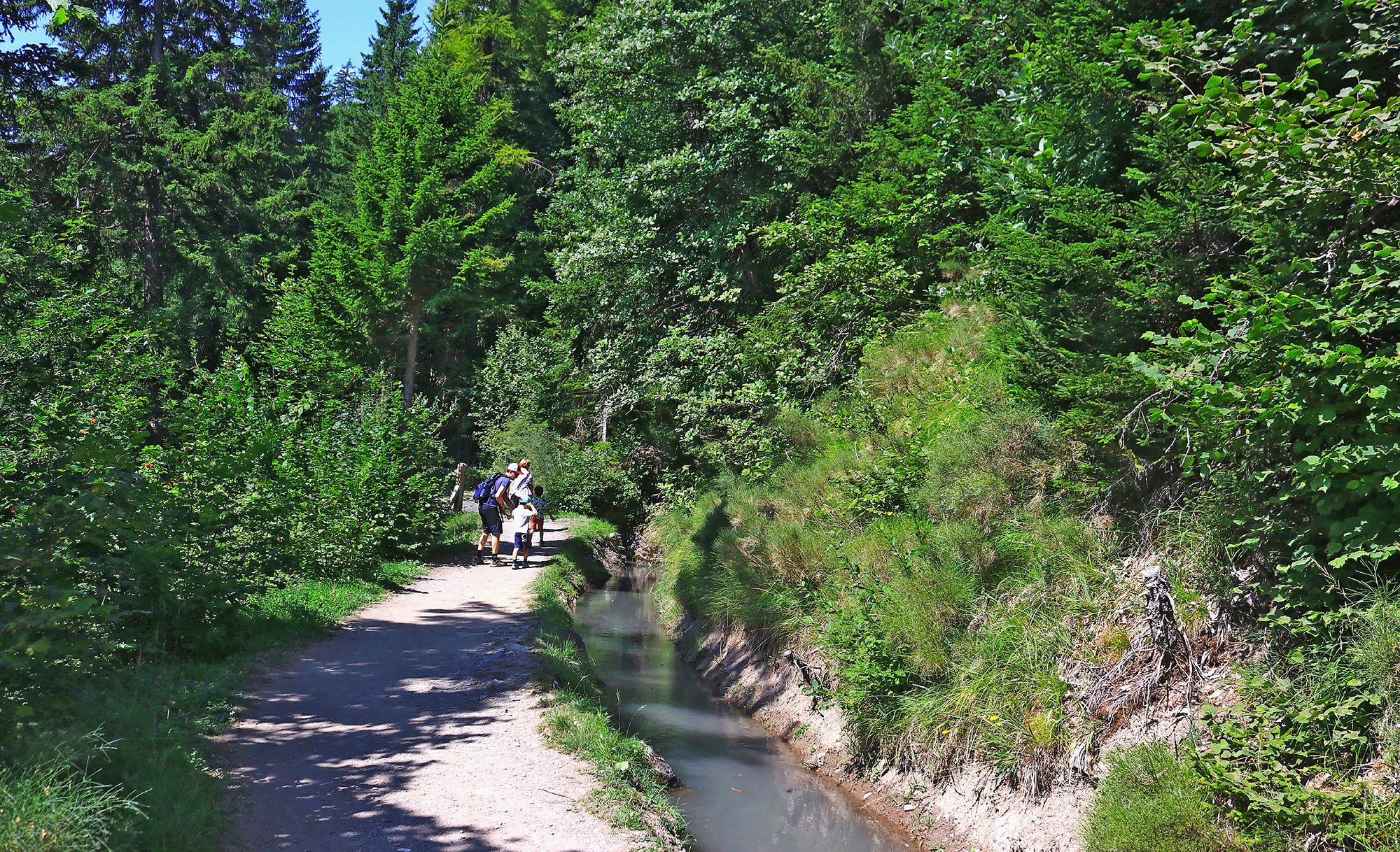 https://www.terrenature.ch/app/uploads/2025/08/17_00_tour_bisses_sion_1186.jpeg