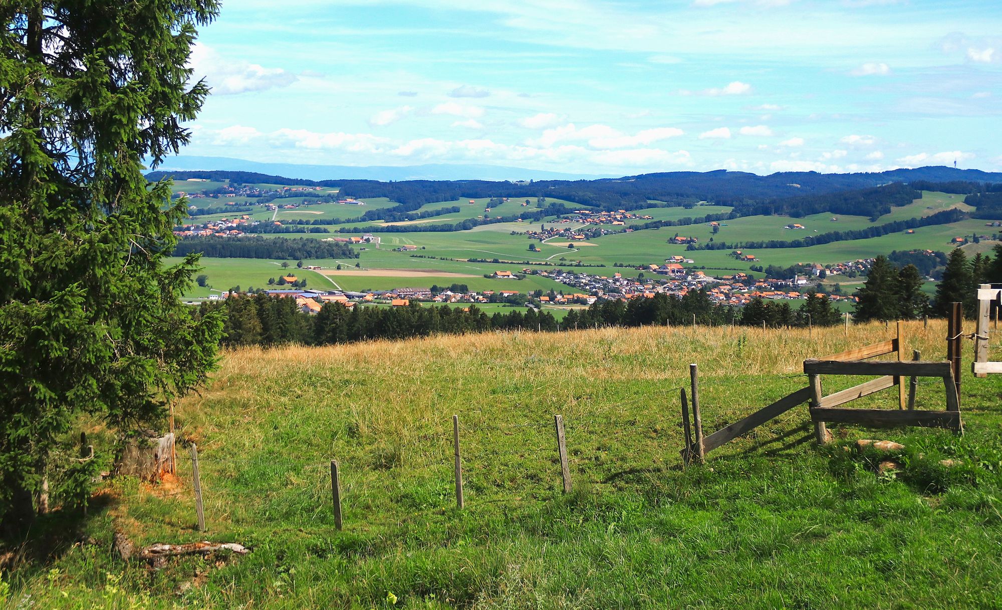 https://www.terrenature.ch/app/uploads/2025/08/17_00_tserotons_panorama_0327.jpeg
