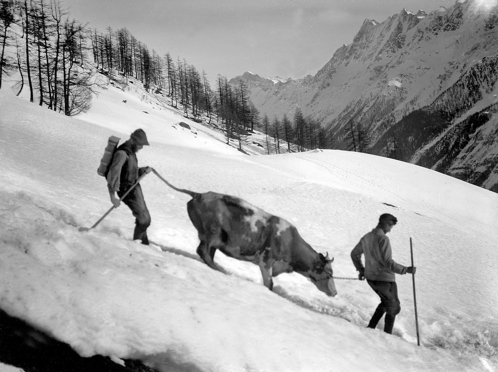 https://www.terrenature.ch/app/uploads/2025/08/24_OUI_04-Lotschental-ca-1930.-©-Albert-Nyfeler-Mediathequ.jpeg