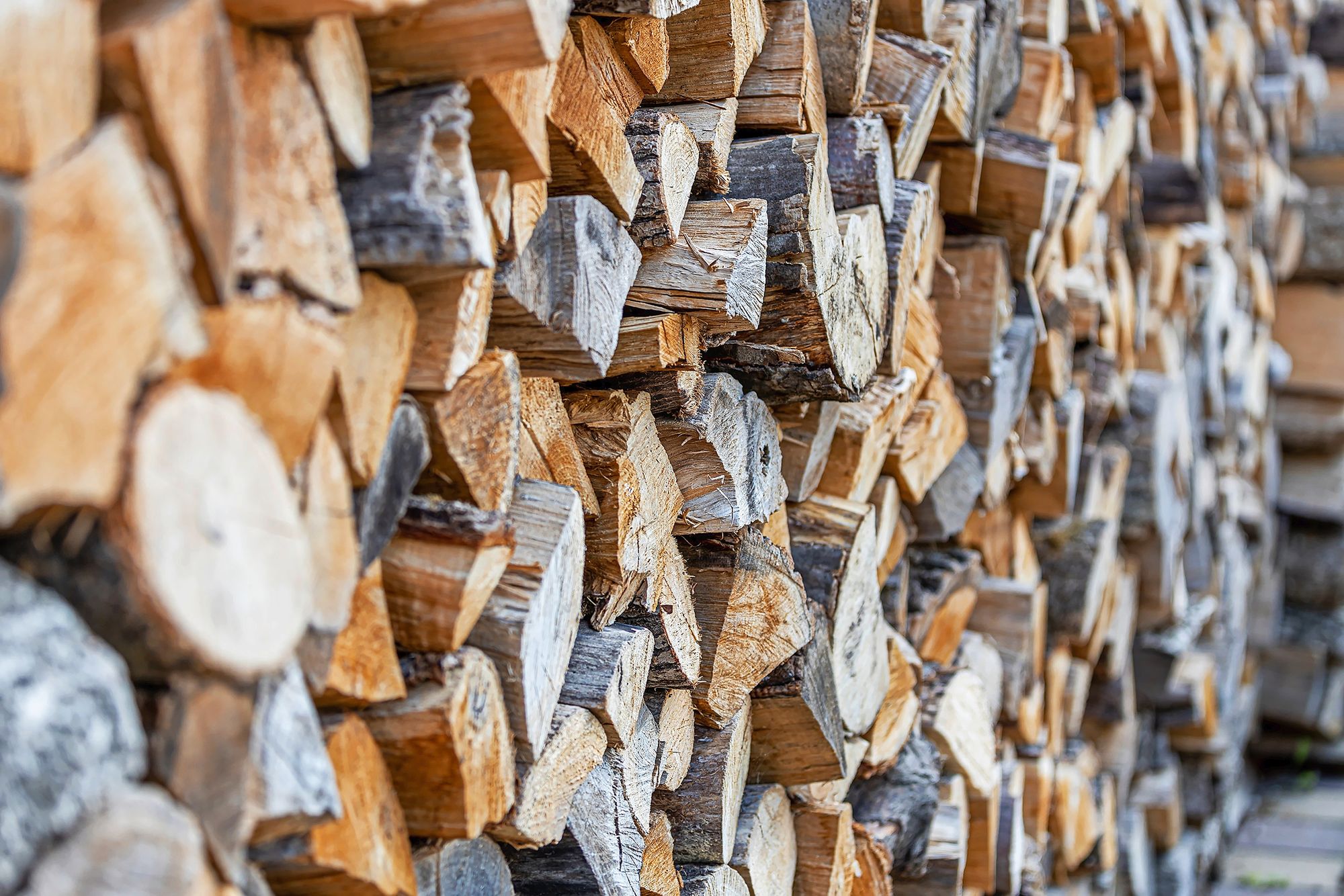 https://www.terrenature.ch/app/uploads/2025/08/AdobeStock_945883922.jpeg