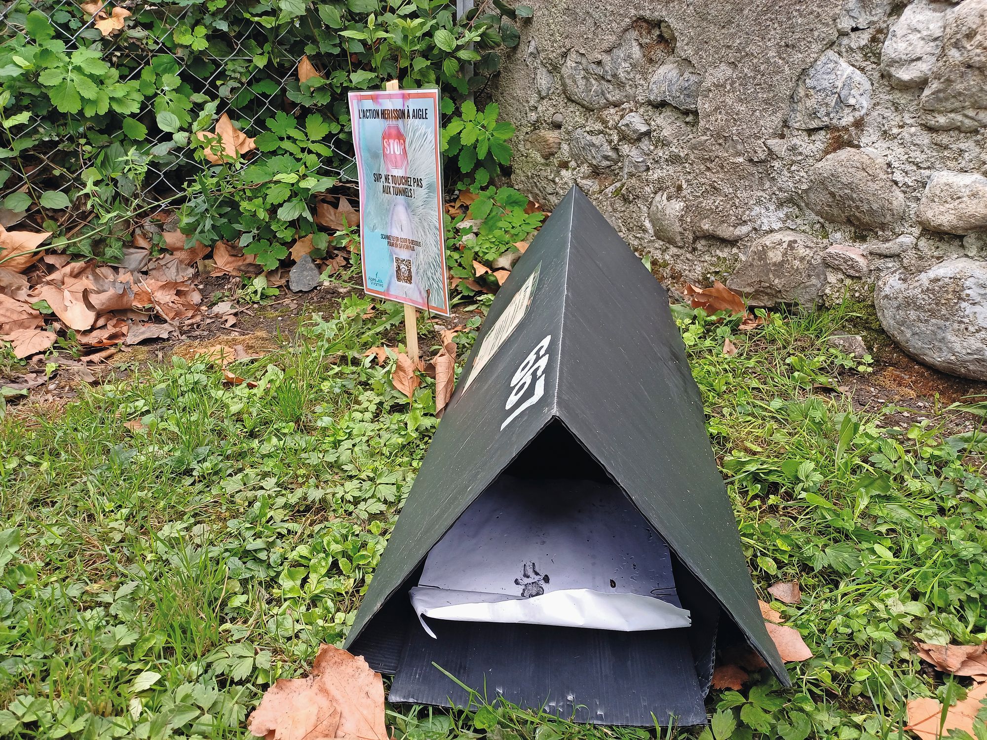 https://www.terrenature.ch/app/uploads/2025/09/10_HerissonAigle.jpeg