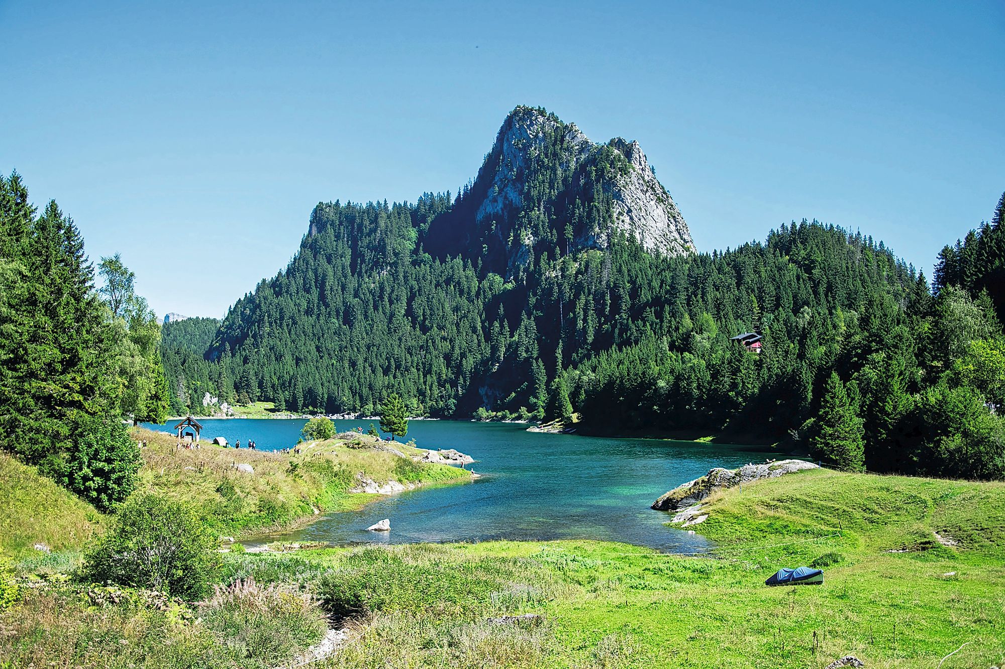 https://www.terrenature.ch/app/uploads/2025/09/17_Balade_LacTaney_Principale.jpeg