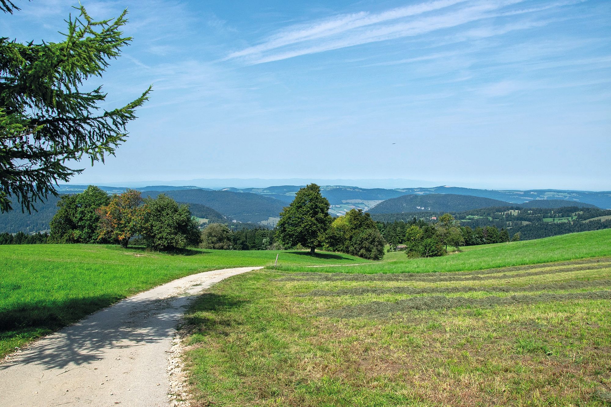 https://www.terrenature.ch/app/uploads/2025/09/17_Souboz0.jpeg