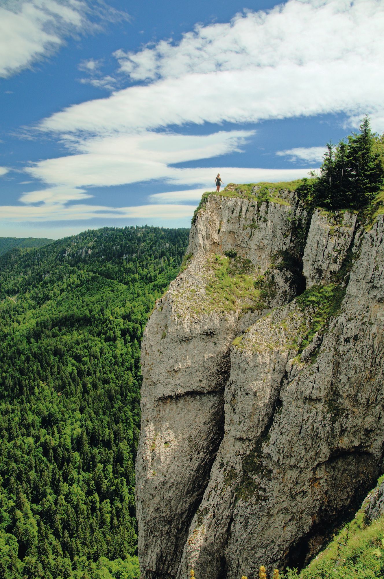 https://www.terrenature.ch/app/uploads/2025/09/41_AdobeStock_204547923.jpeg