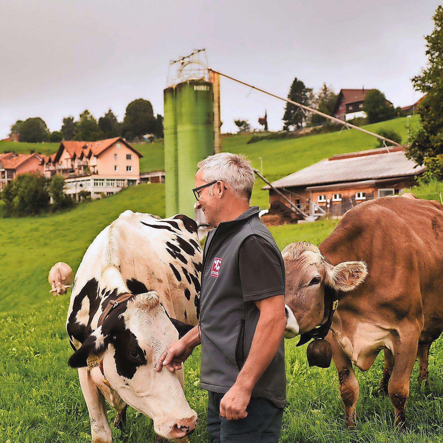 https://www.terrenature.ch/app/uploads/2025/09/5_mooh3.jpeg