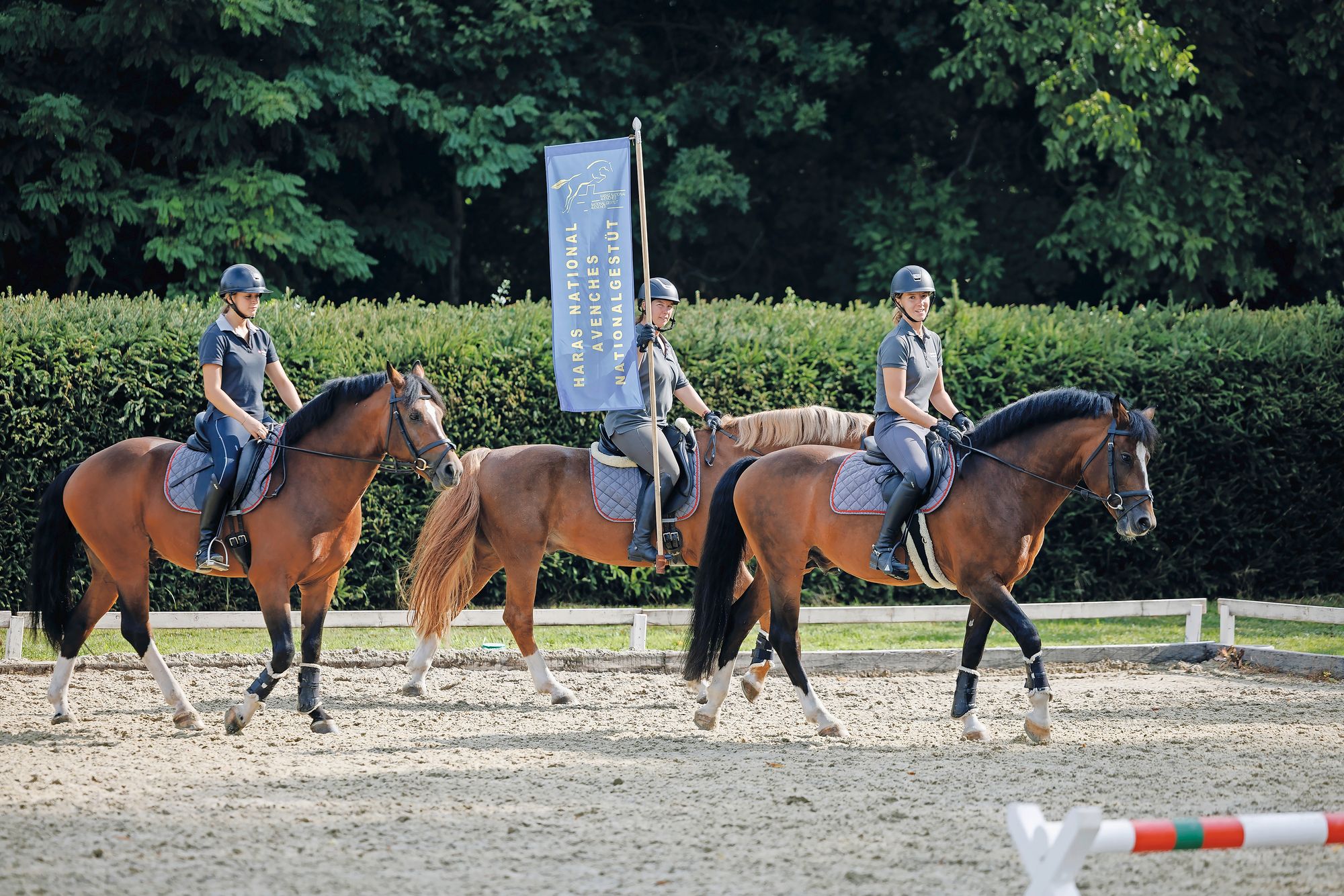 https://www.terrenature.ch/app/uploads/2025/09/6_haras_national_27082025_©pierre_yves_massot_02A5812ENT_ID27.jpeg