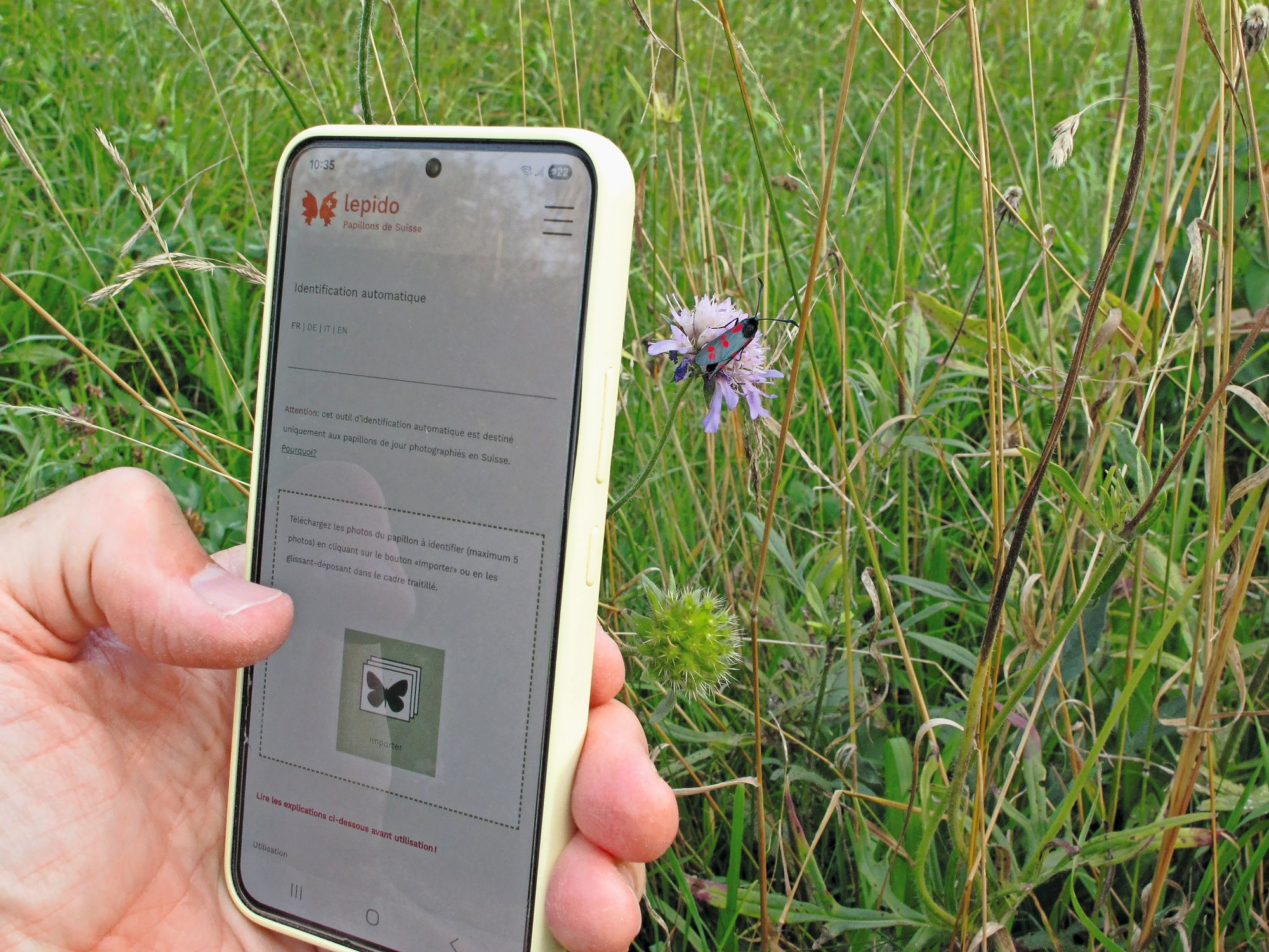 https://www.terrenature.ch/app/uploads/2025/09/9_IMG_3200.jpeg