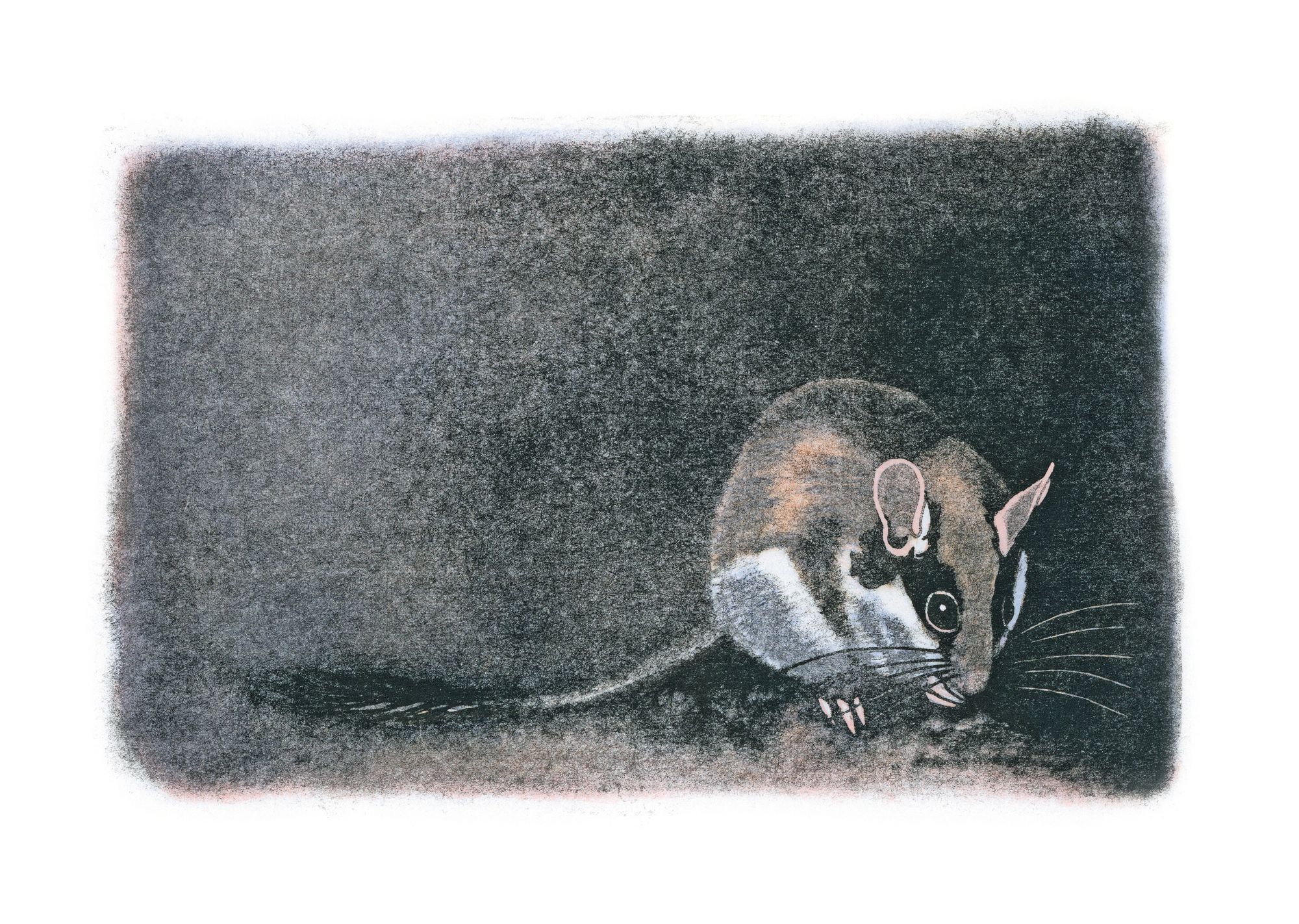 https://www.terrenature.ch/app/uploads/2025/09/9_gravure-lerot.jpeg