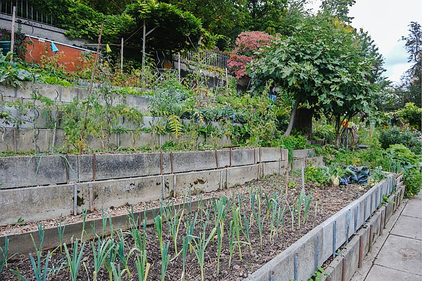 https://www.terrenature.ch/app/uploads/2025/10/05_jardin.jpeg