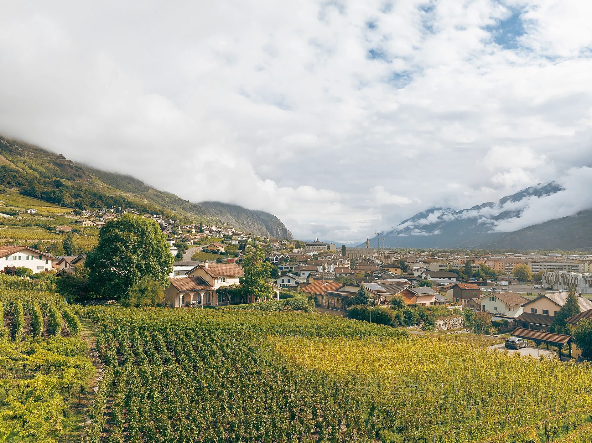 https://www.terrenature.ch/app/uploads/2025/10/06_DJI_0591_C.jpeg