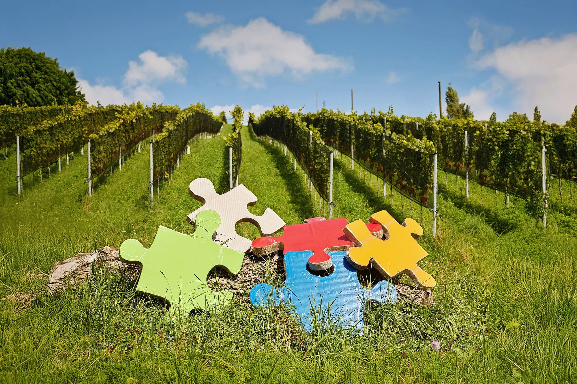https://www.terrenature.ch/app/uploads/2025/10/06_Principal_BOTW2026_KunstUndWein_12_web.jpeg