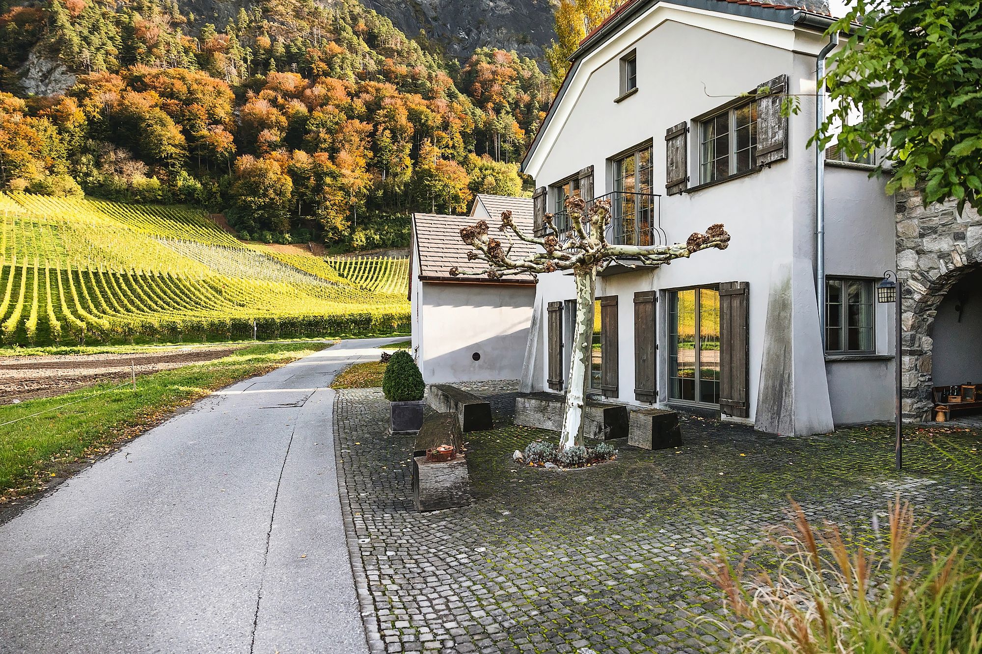 https://www.terrenature.ch/app/uploads/2025/10/07_Encadres_01_BOTW2026_Herrschaftlich_91_web.jpeg