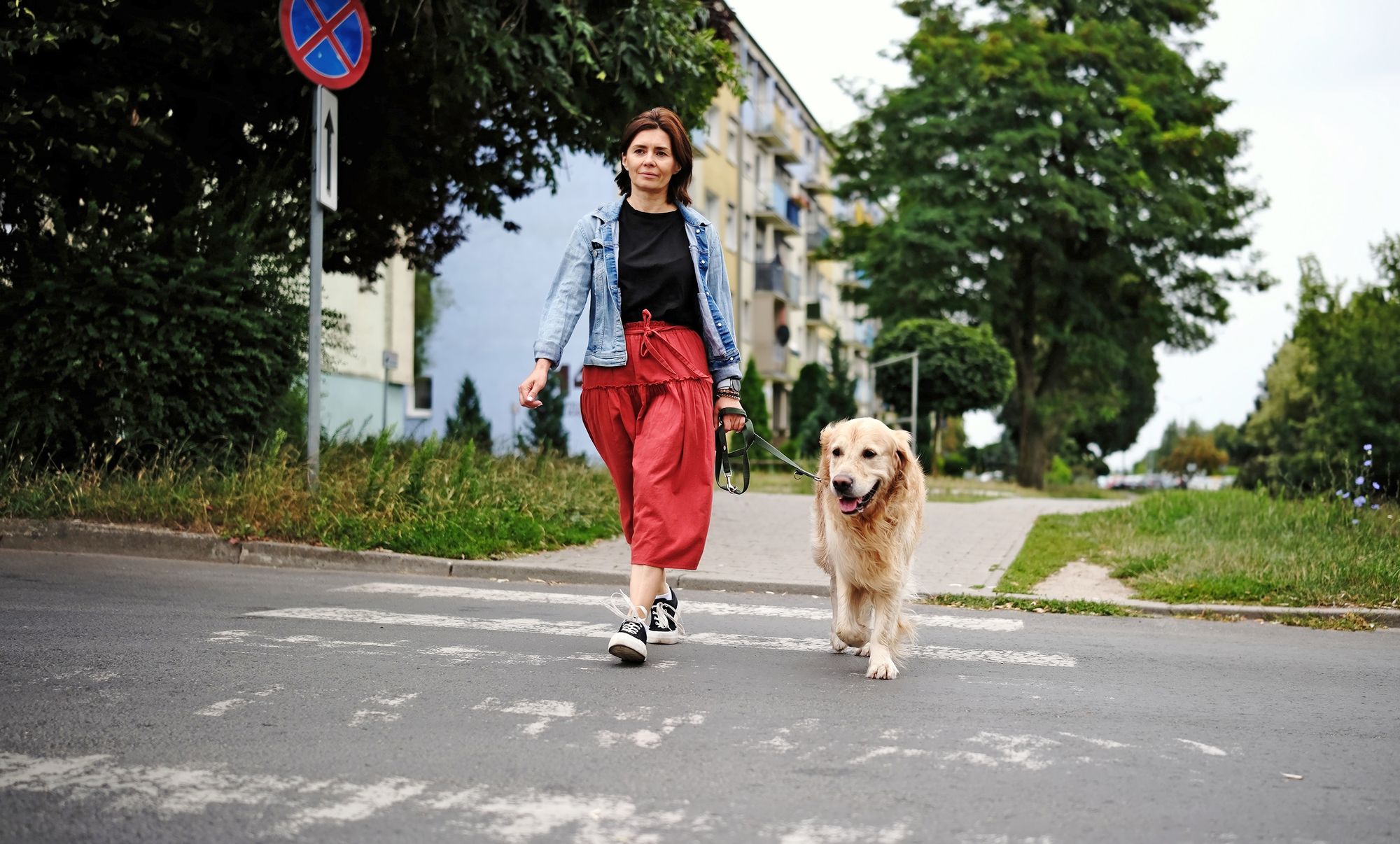 https://www.terrenature.ch/app/uploads/2025/10/13_AdobeStock_1175204911.jpeg
