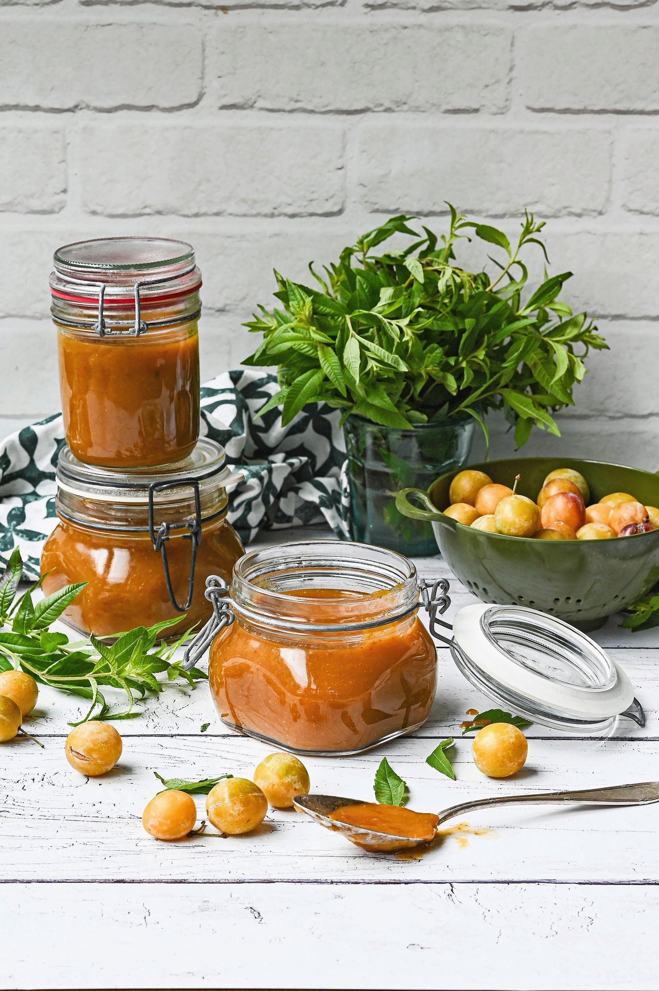 https://www.terrenature.ch/app/uploads/2025/10/15_Compote-de-mirabelle-a-la-verveine.jpeg