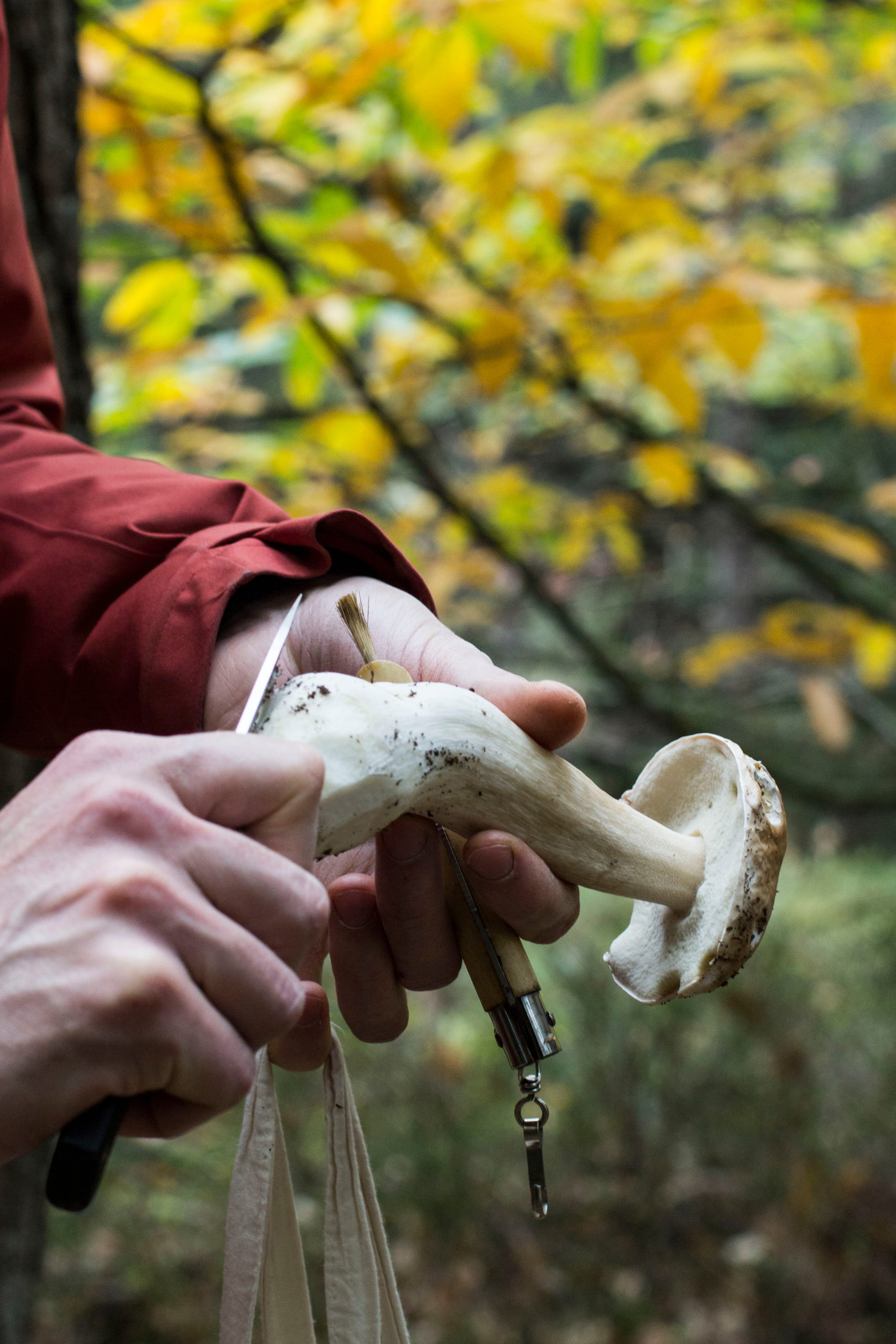 https://www.terrenature.ch/app/uploads/2025/10/AdobeStock_387824100-scaled.jpeg