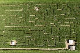 https://www.terrenature.ch/app/uploads/2025/10/Urba-kids-mais-labyrinthe-.jpeg