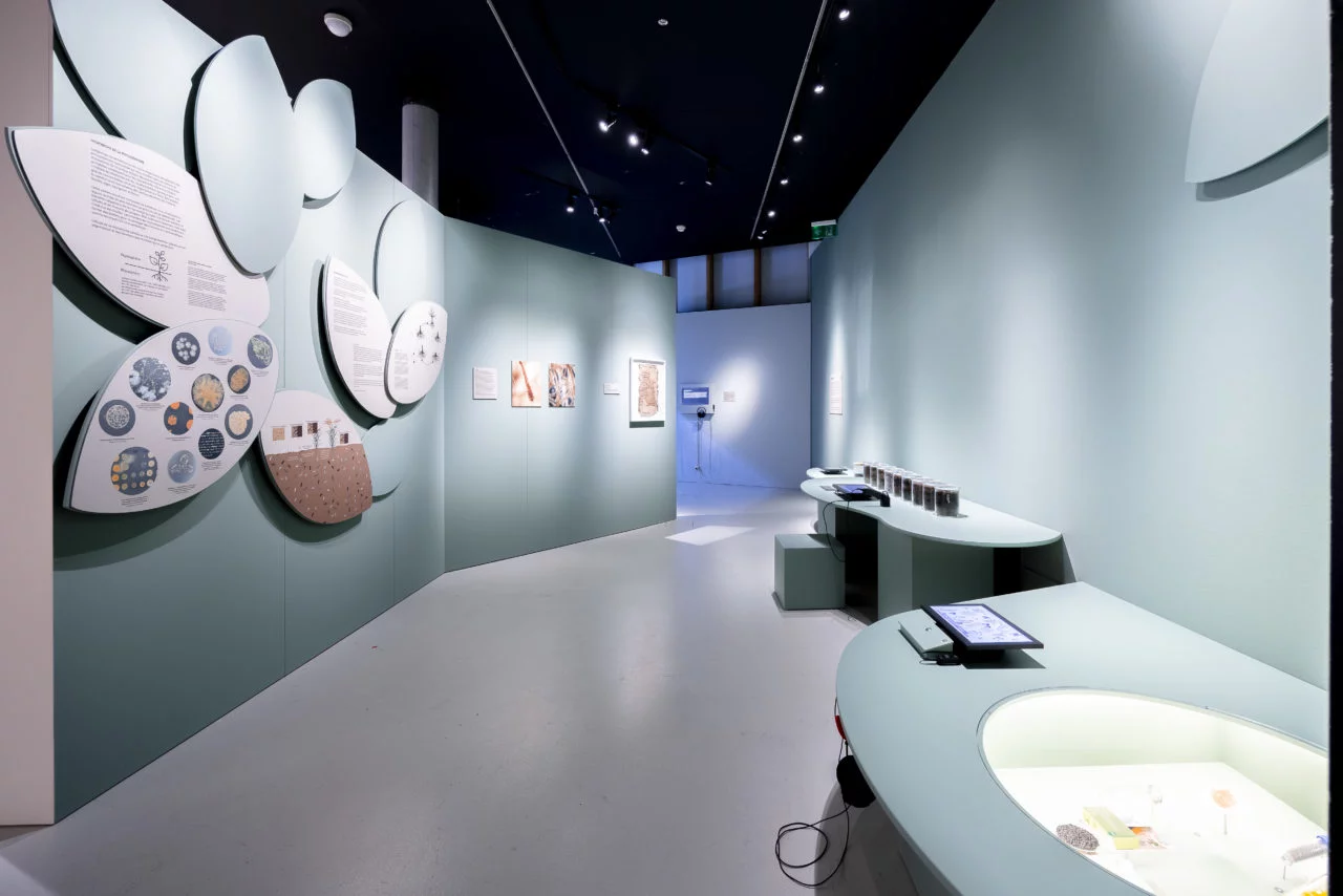 https://www.terrenature.ch/app/uploads/2025/10/expo-microbes.webp