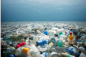 https://www.terrenature.ch/app/uploads/2025/11/Conference-La-pollution-plastique-de-la-diversite-des-sources-aux-impacts-multiples.jpeg
