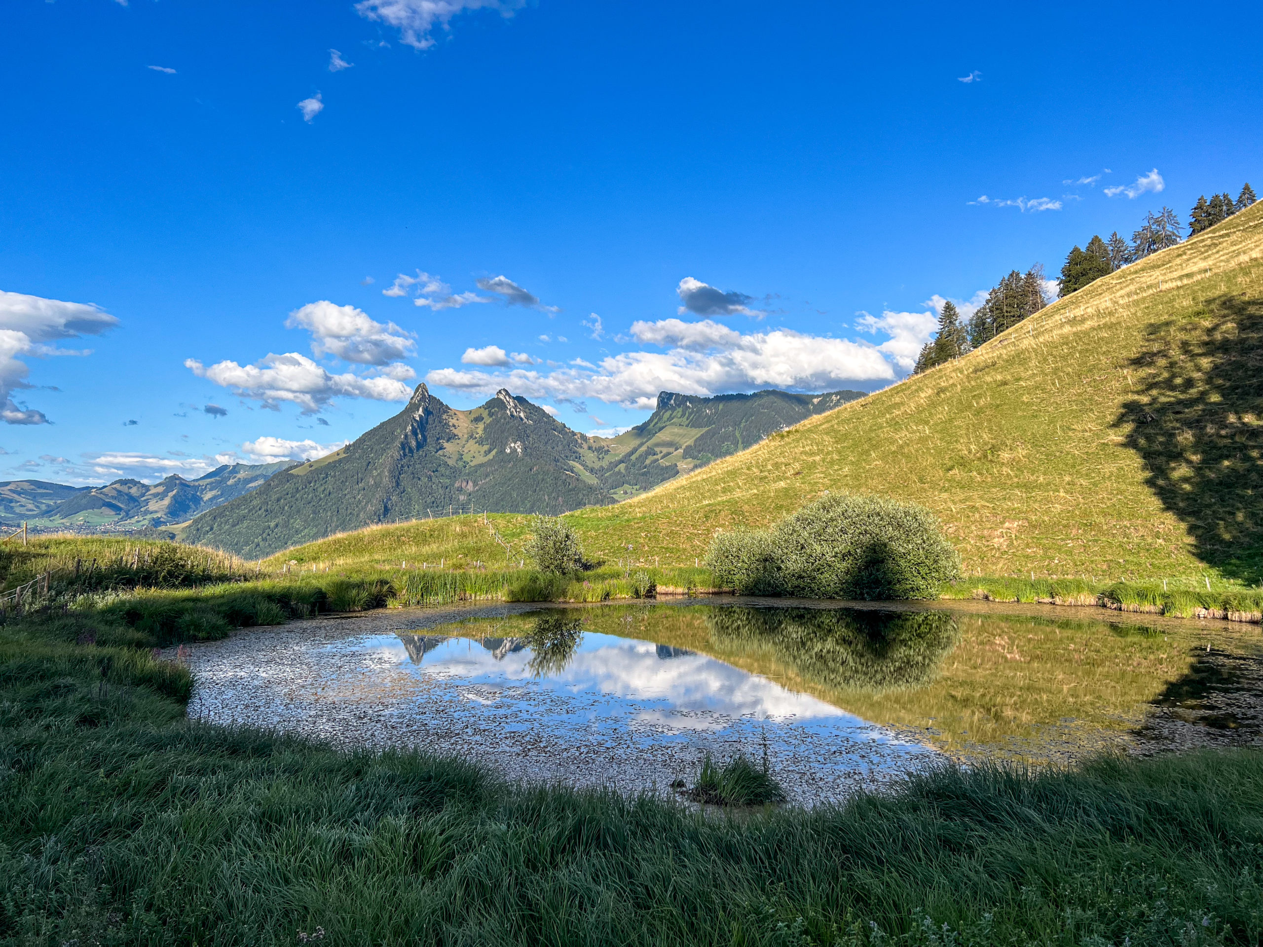 https://www.terrenature.ch/app/uploads/2026/01/star-conference-terres-deau-des-reponses-aux-rechauffement-©parc-gruyere-pays-denhaut-scaled.jpg