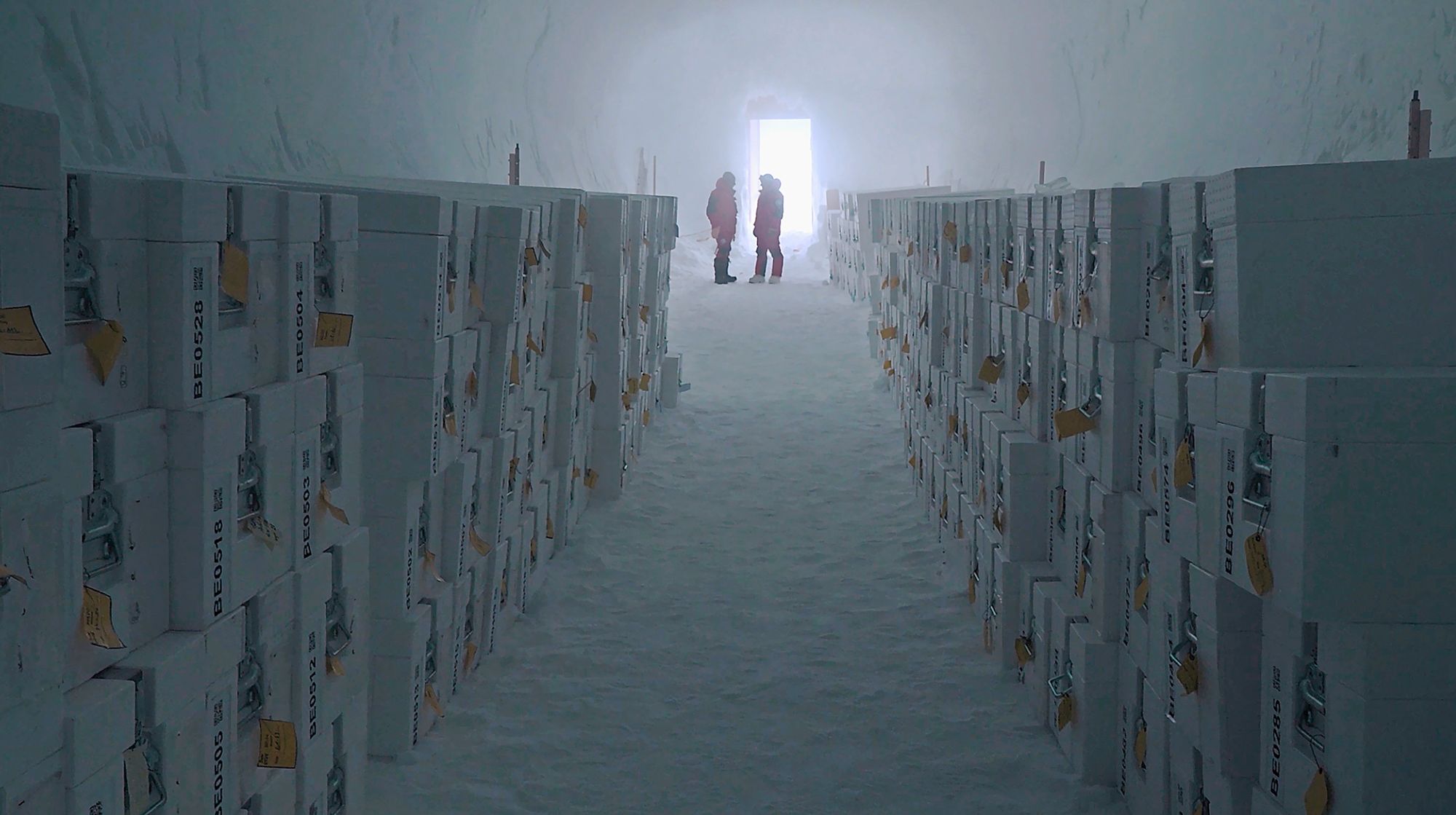 https://www.terrenature.ch/app/uploads/2026/02/03_10_ice_cores_storage_ice_memory_sanctuary.jpeg