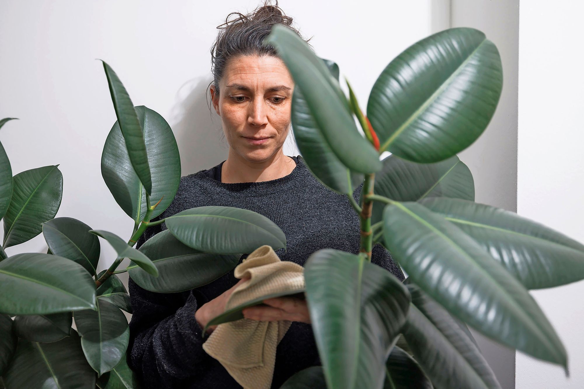 18_s2026012702_022jpeg