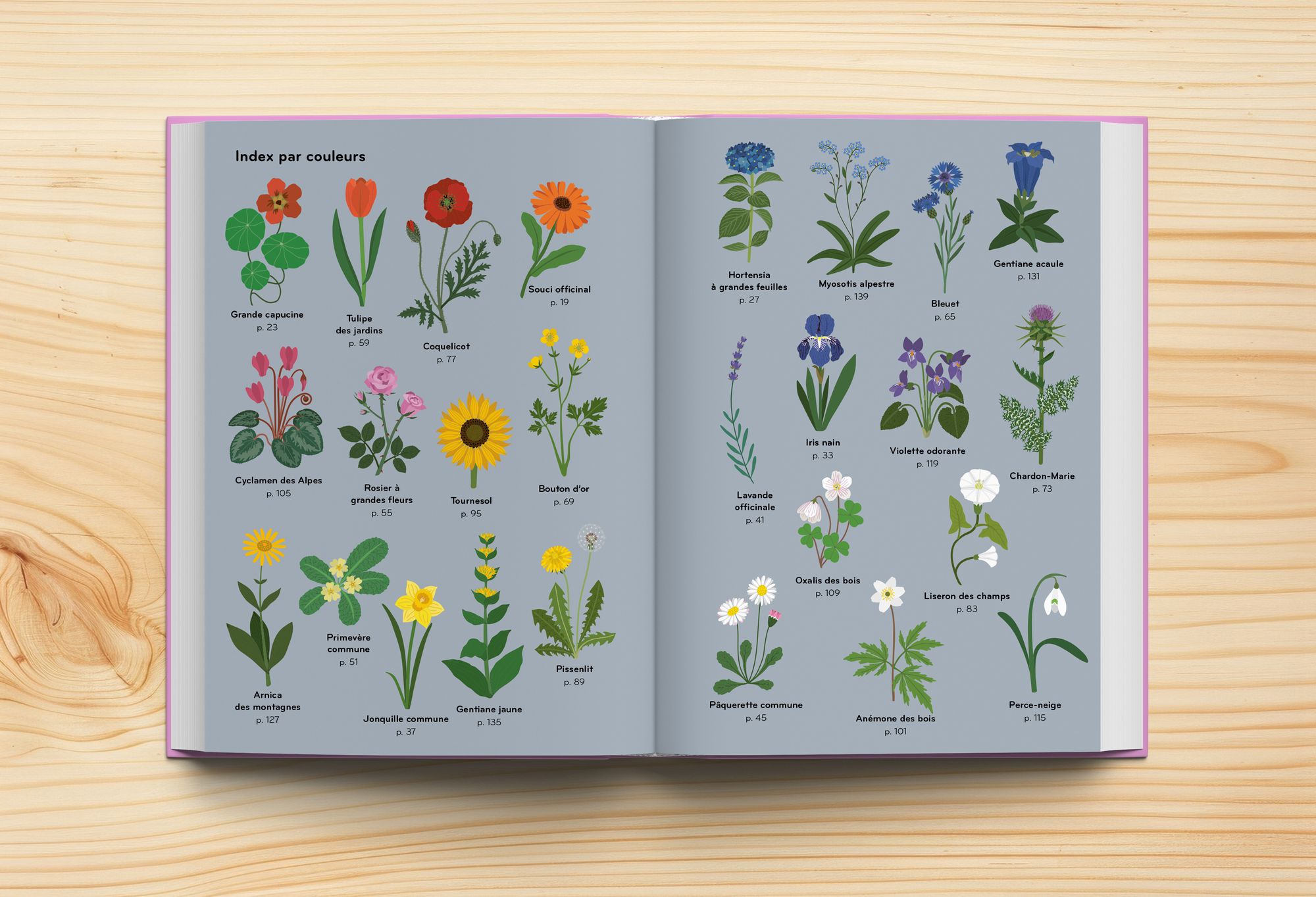 24_mockup-florama-int8jpeg