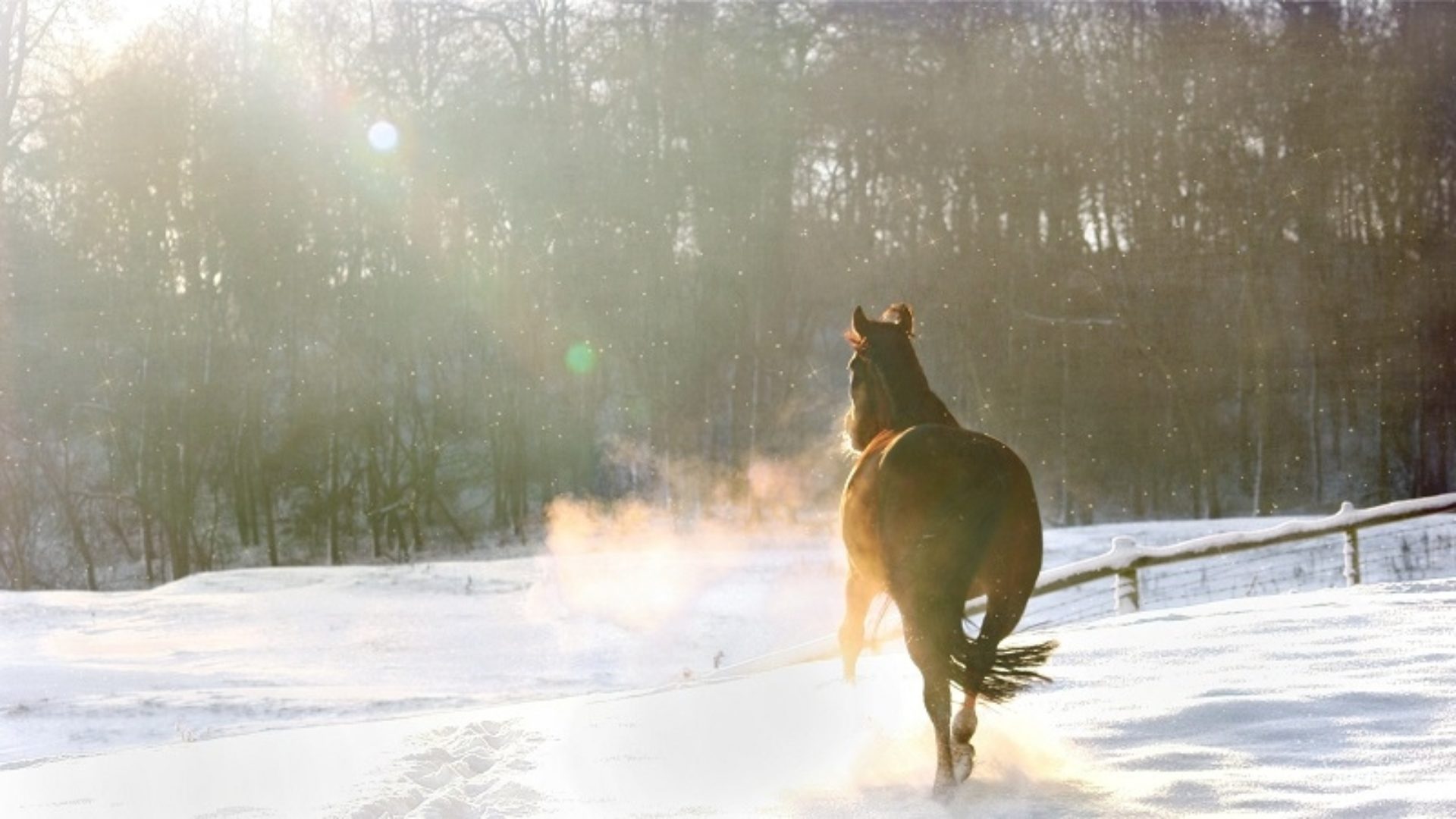 balades-a-cheval-1920x1080