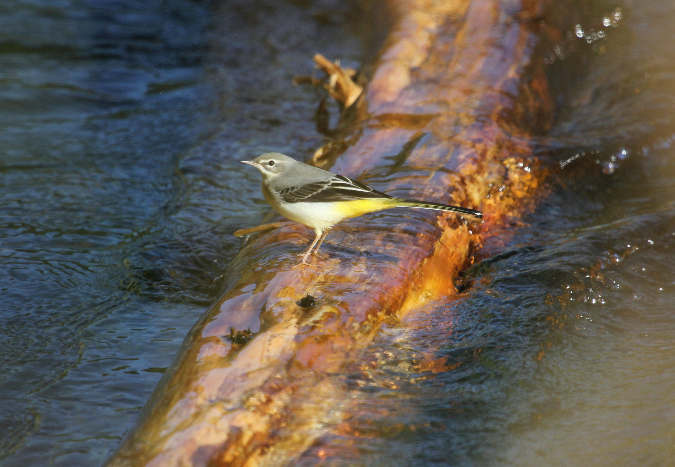 proch marc bastardot excursion pour les jeunes de moins de 25 ans