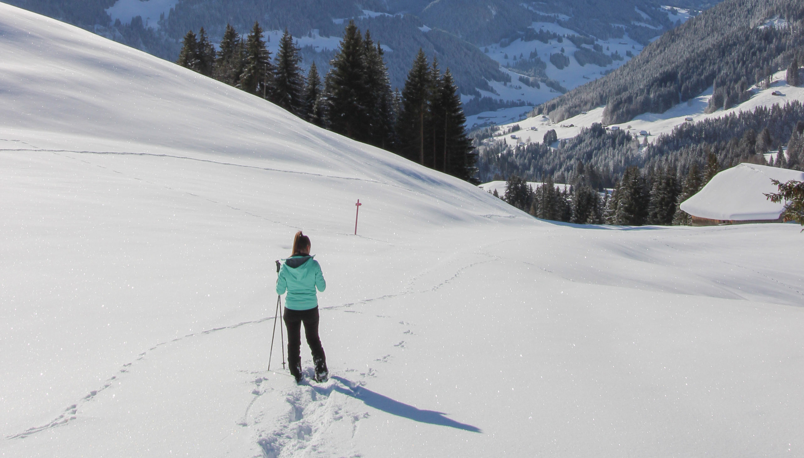 sentier hiver la manche rougemont