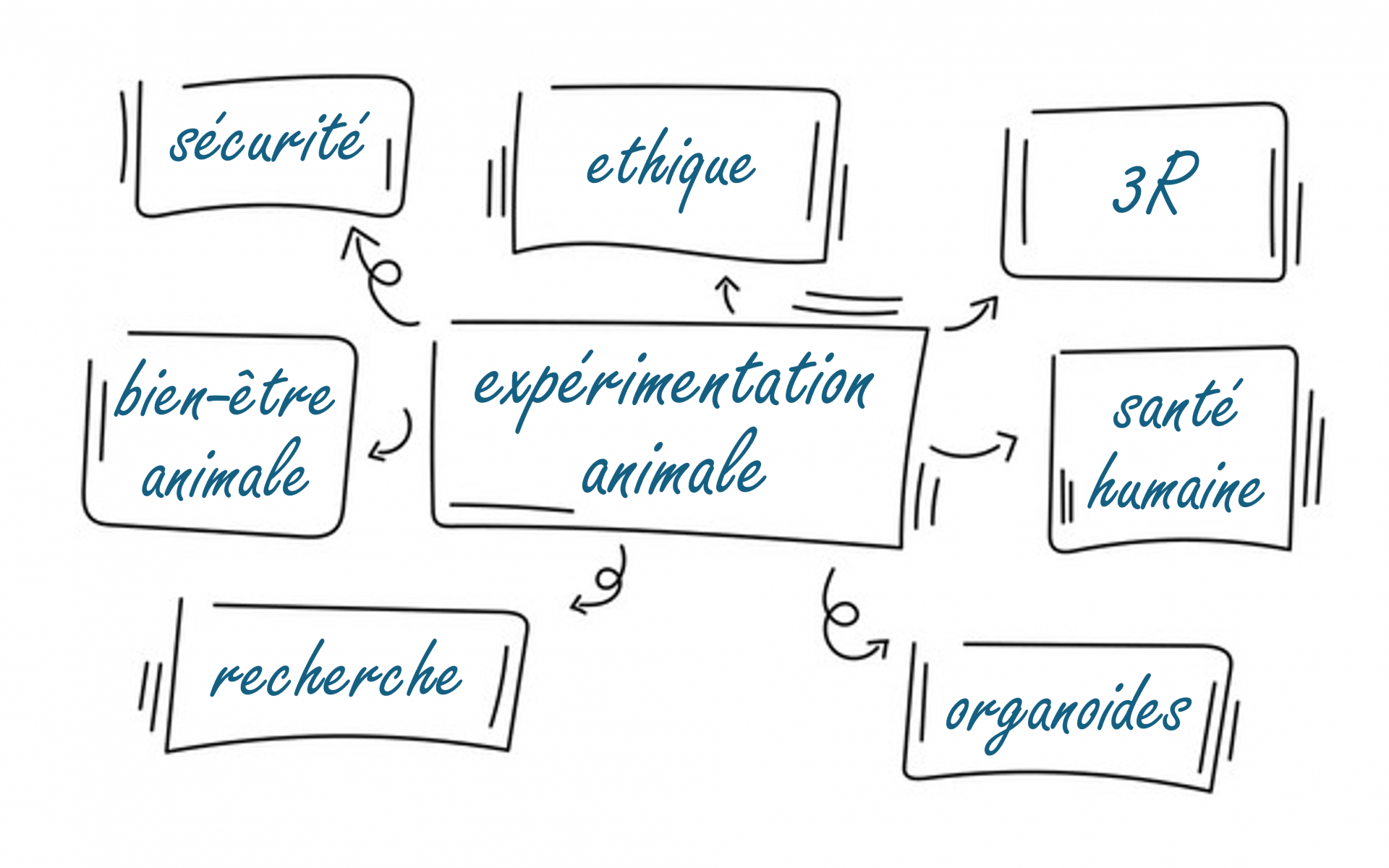 speed dating scientifique