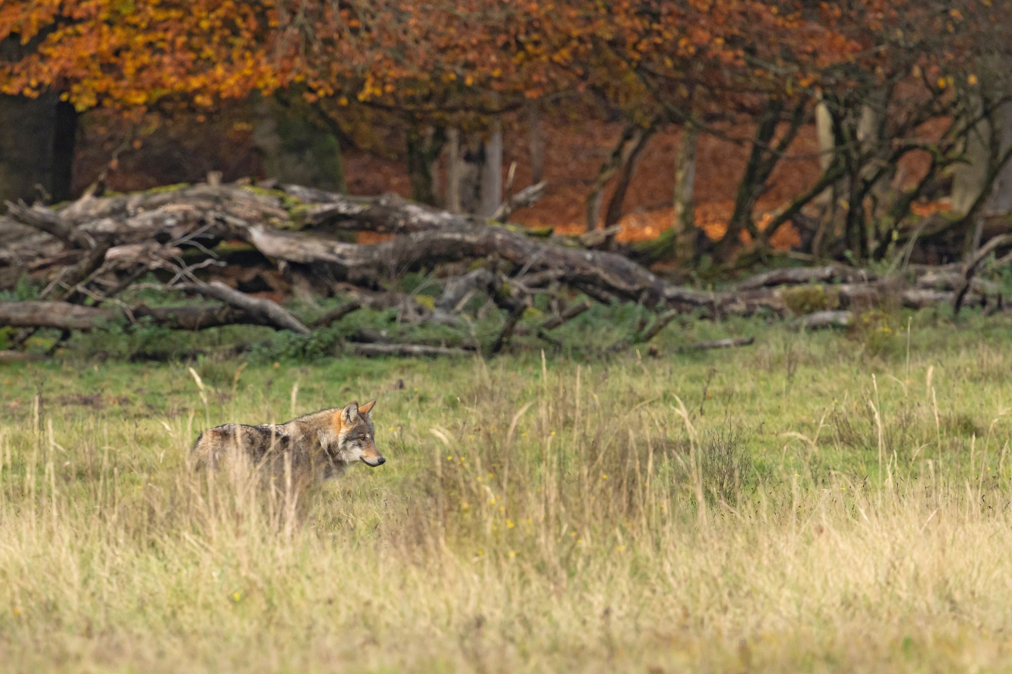 03_adobestock_1789879297jpeg