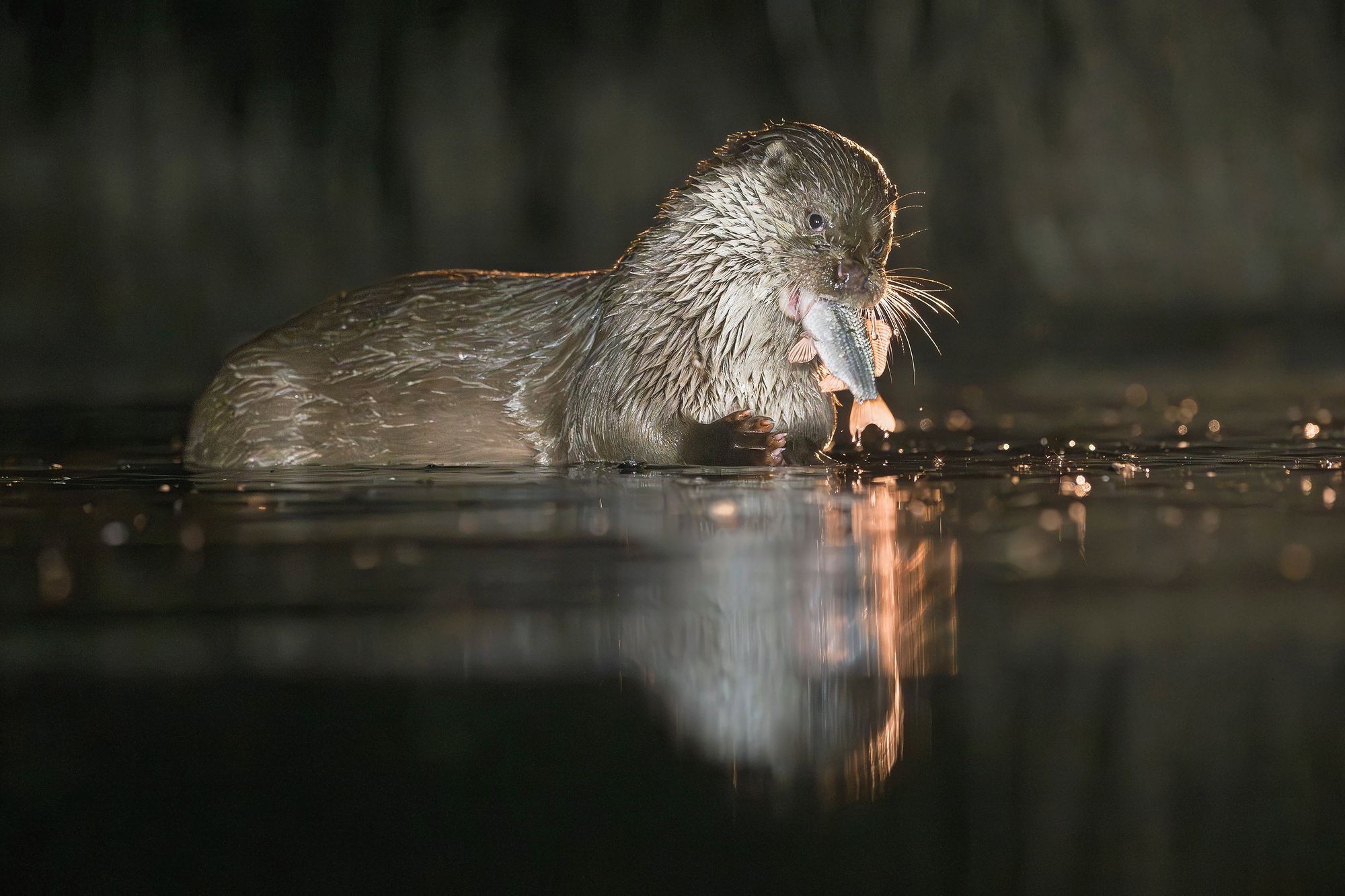 03_adobestock_1914975887jpeg