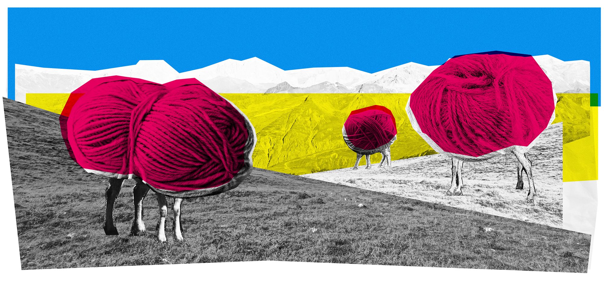 03_pointfort-lainejpeg