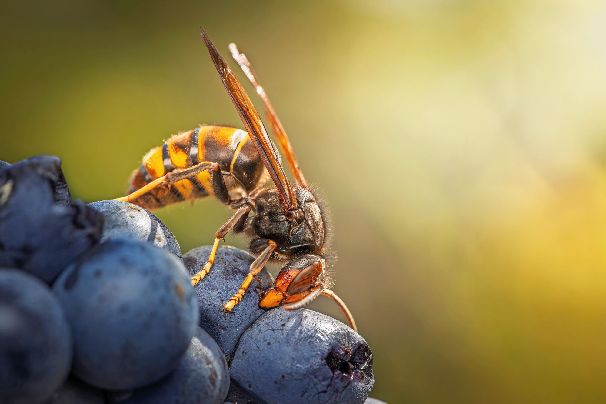 35_adobestock_1760881481jpeg