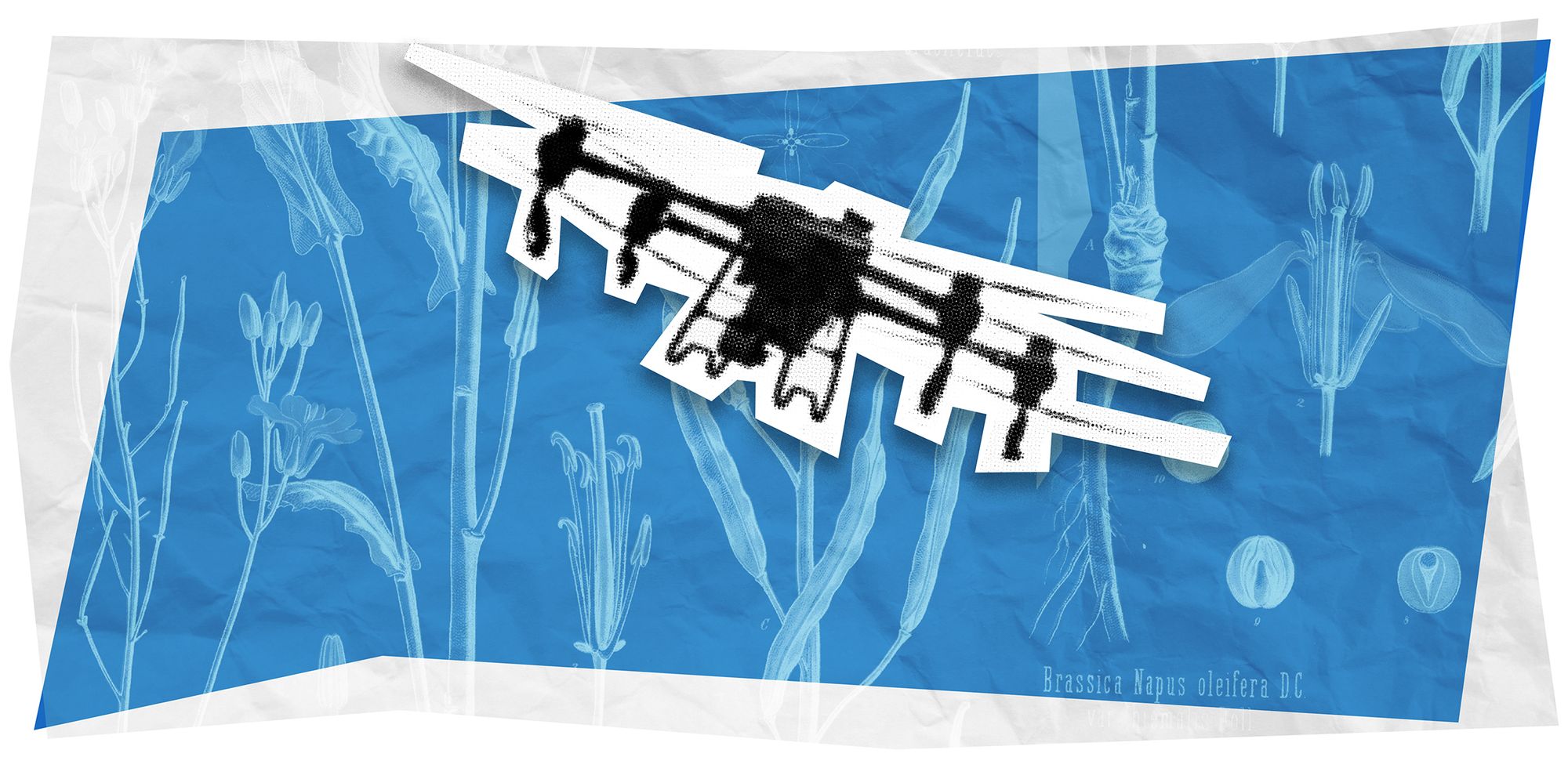 37_20260323_champdespossibles_3jpeg