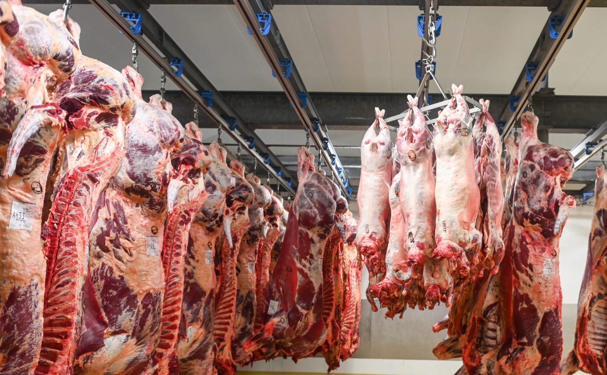 abattoirs anderlecht