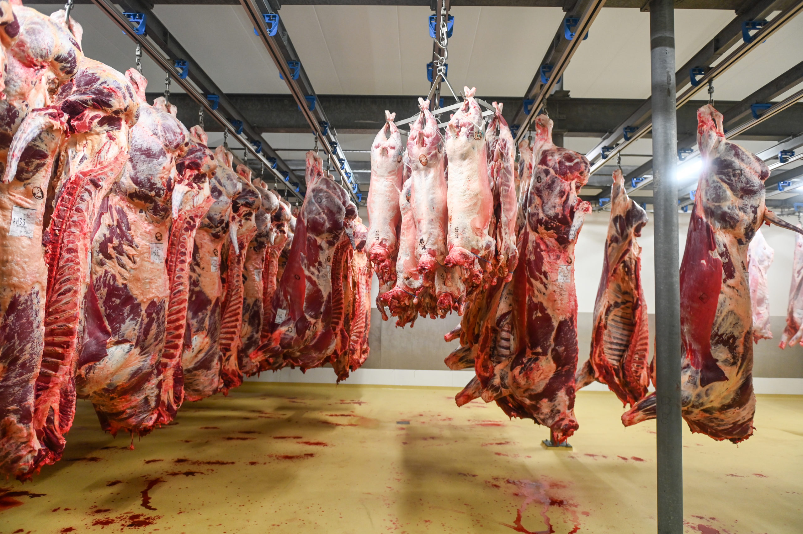 abattoirs anderlecht