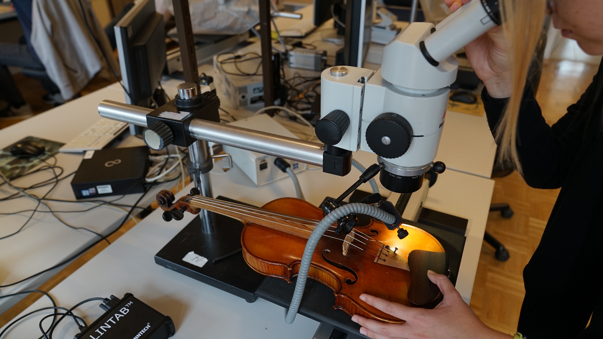analyzing tree rings on a violin