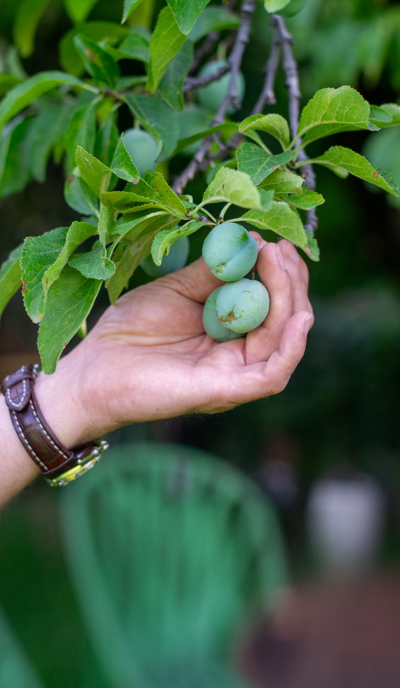 hsj26_35_untitled-501