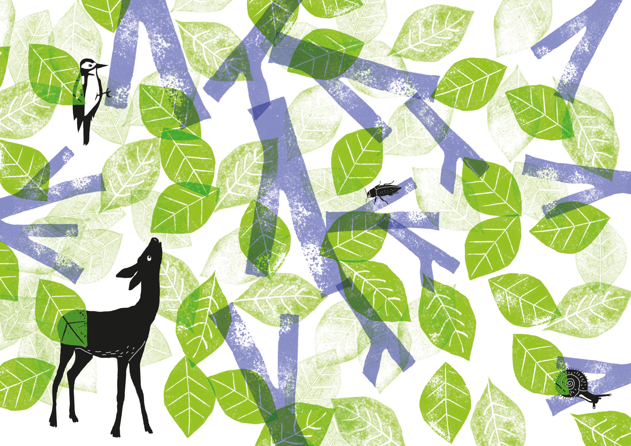 star exposition qui vit là_cr_studio ko