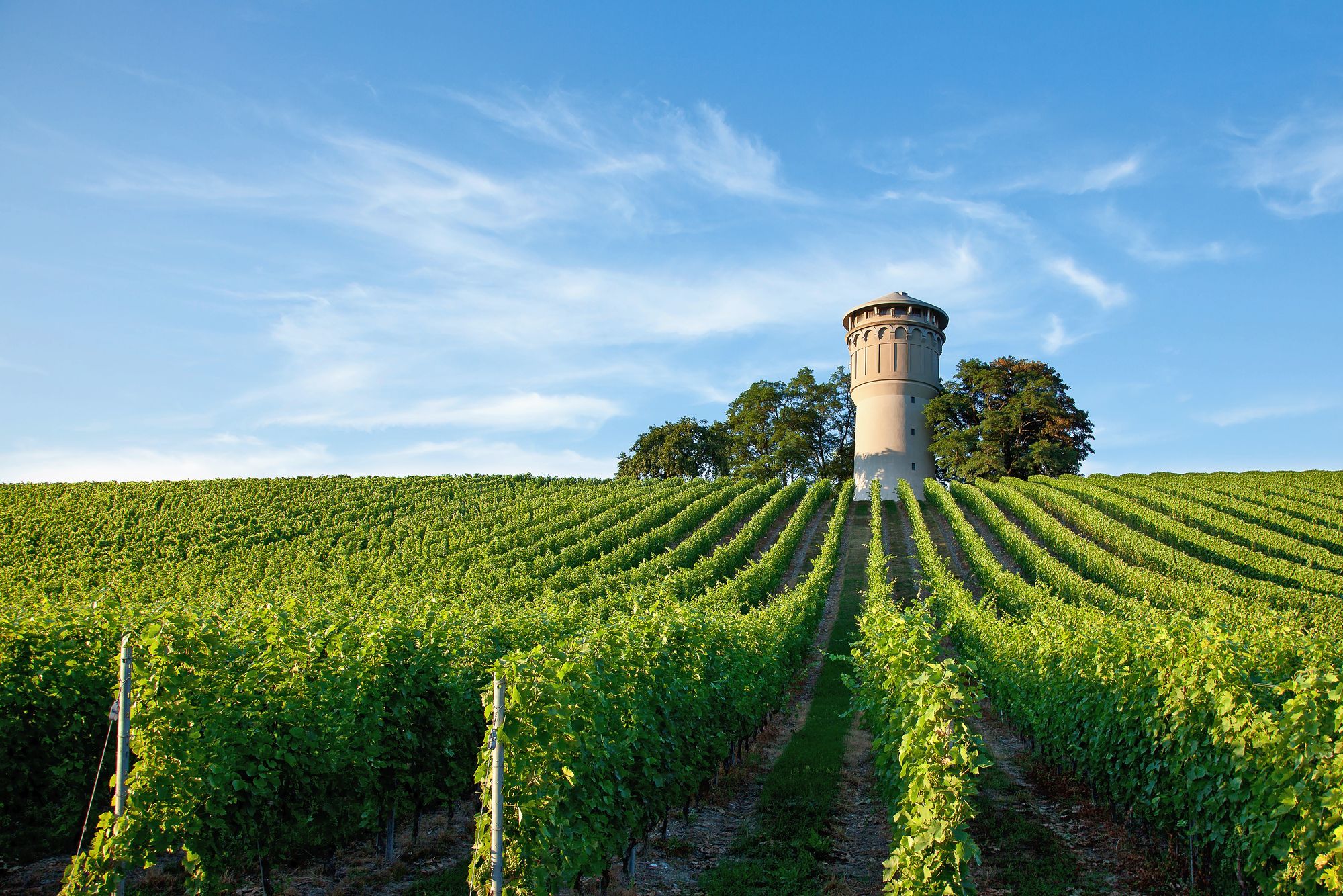 03_adobestock_24587767jpeg