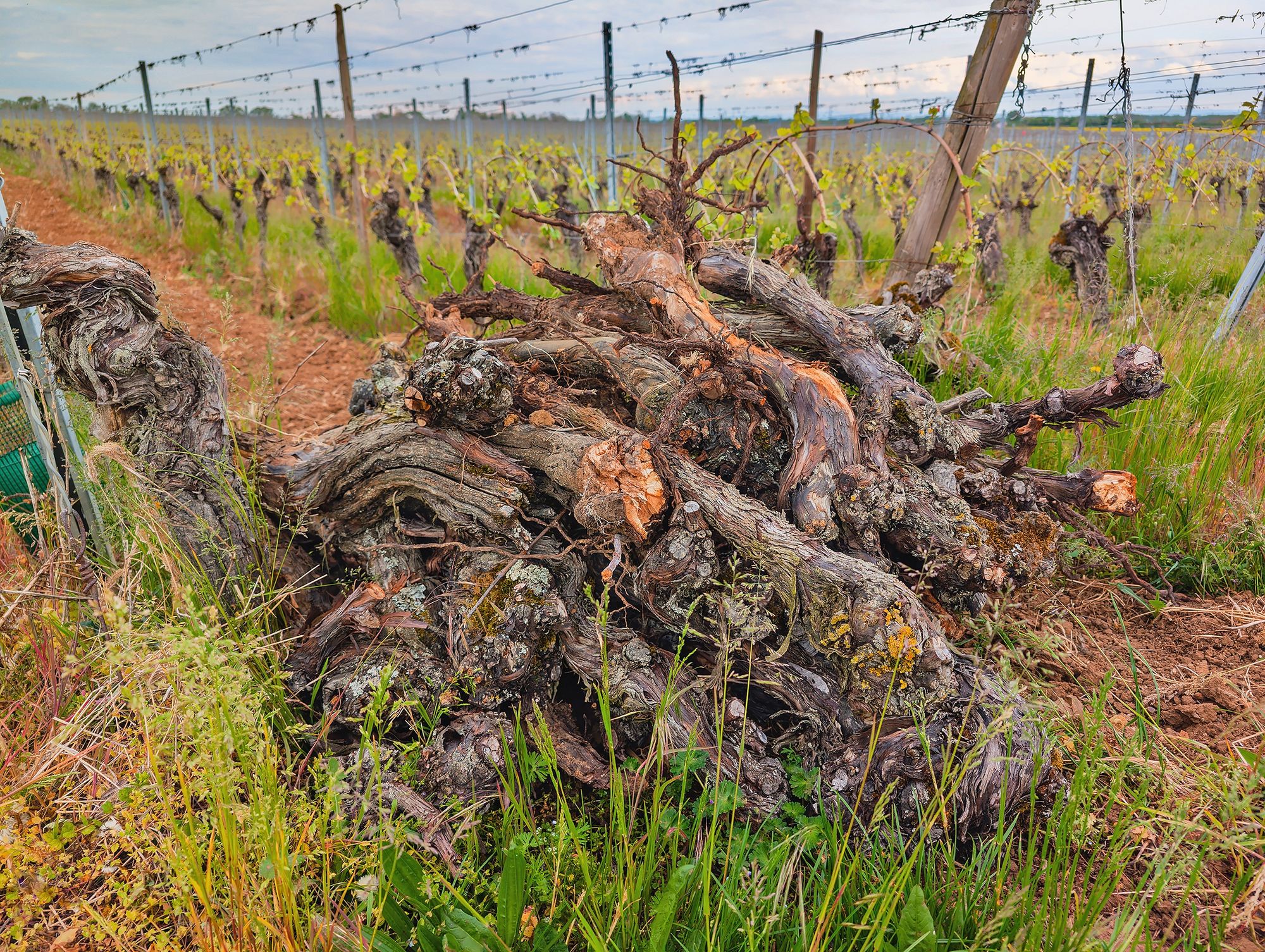 05_adobestock_1510298382jpeg